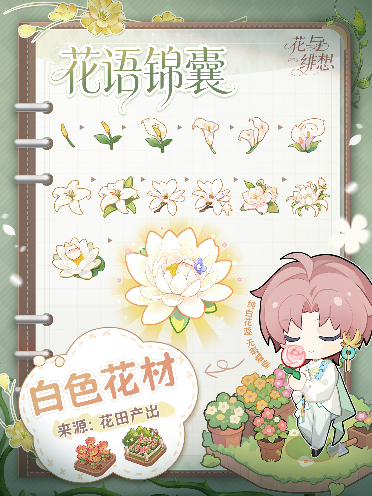 041767492248211010569.jpg 1245-1660.jpg